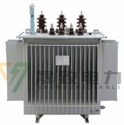 配電變壓器有異響是什么情況