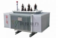 315kva油浸式變壓器價格,北京晟致電力